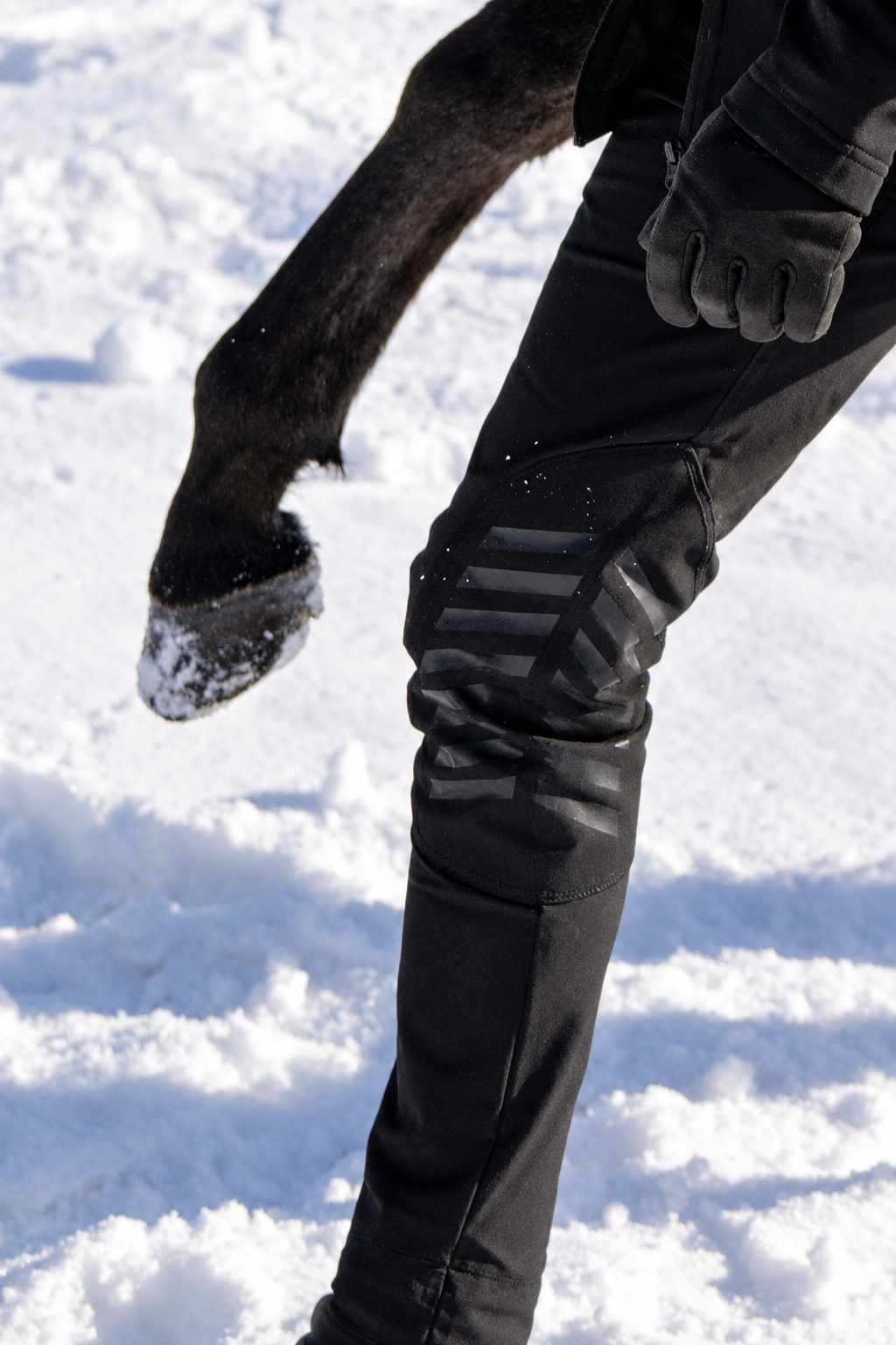 The Trackwork Breeches